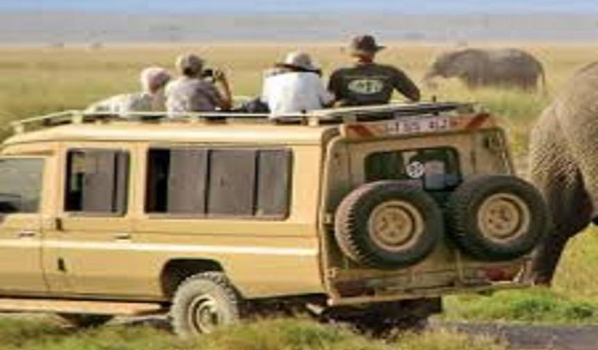 2 Days Tanzania Private Safari — 1