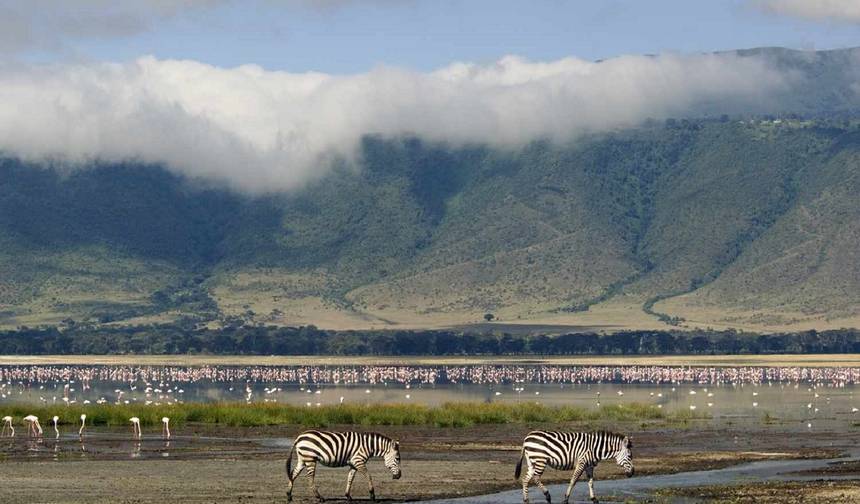 The majestic 3-Day Tanzania Safari | Shared safari — 1