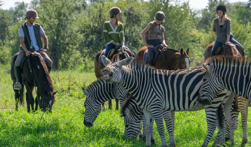 Przylądek, Kruger i Wodospady Wiktorii: Luksusowe Safari i Spektakularne Widoki — 1