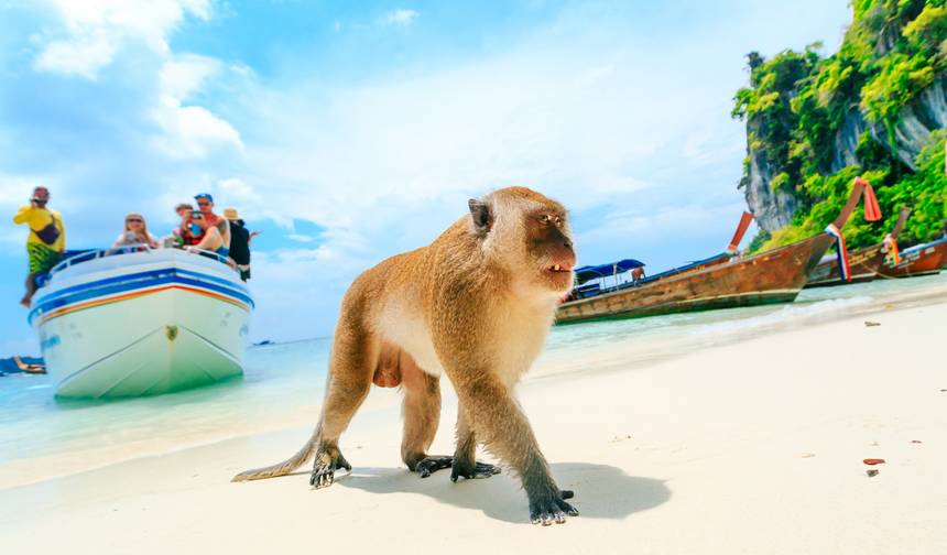 10 Days Beaches of Southern Thailand (private guide & driver）Customizable — 1