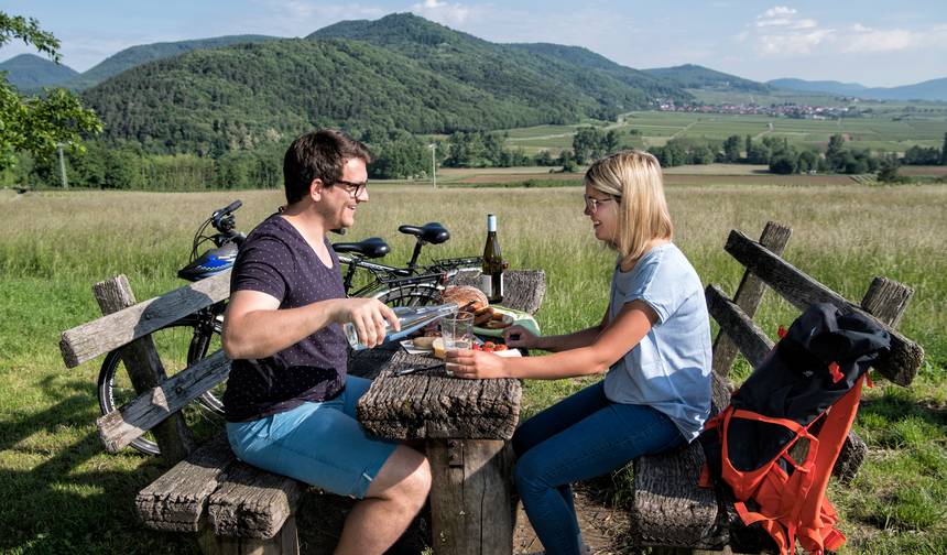 Wine regions Rheingau and Palatinate | Germany | 8 days — 1
