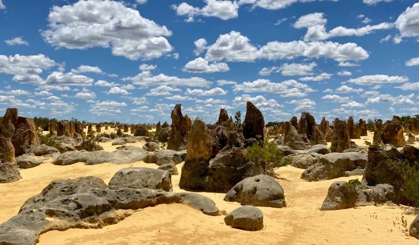 Pinnacles Day Tour — 1