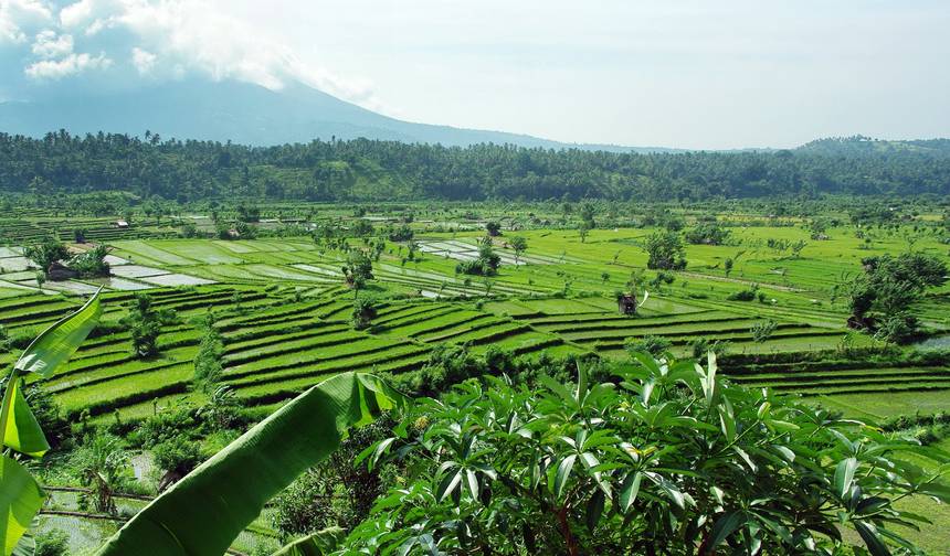 17 dni Oblicza Indonezji: Jawa-Sulawesi-Bali — 1