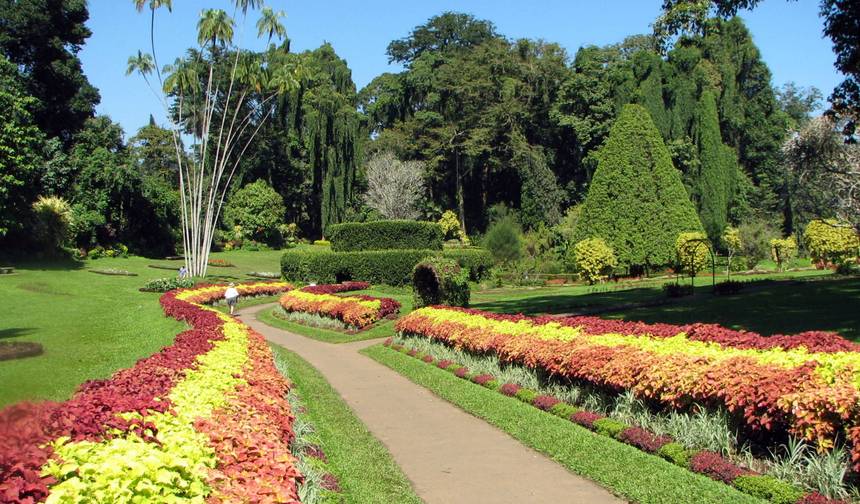 Classic Srilanka Tour 7 nights and 8 days Tour — 1