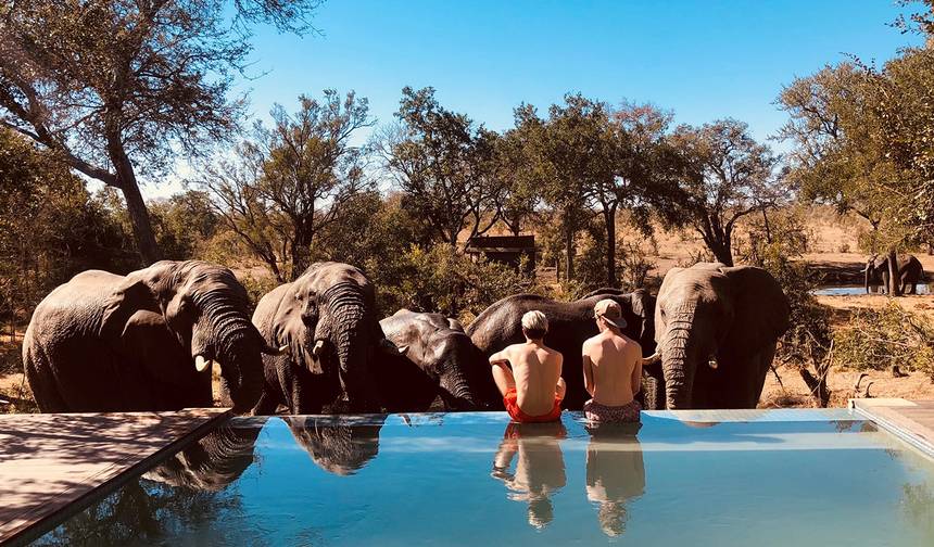 Kruger Safari & Victoria Falls - 8 days — 1