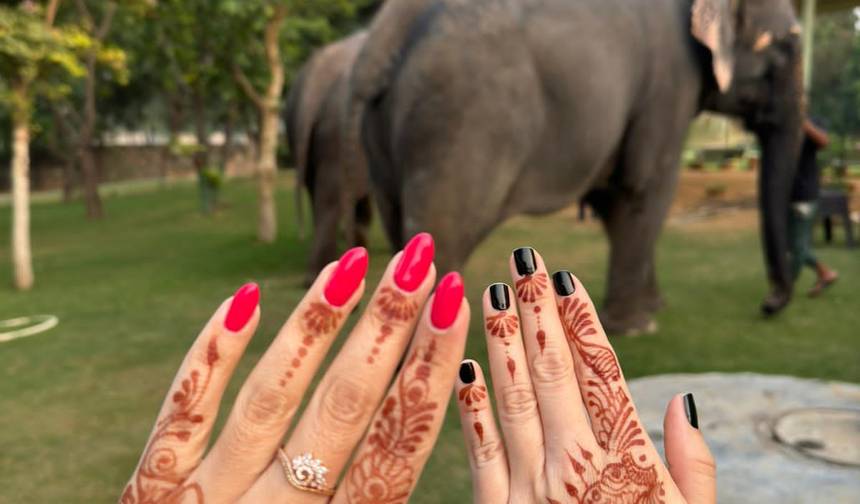 Przygoda Ranthambore Wildlife Safari Tour z kompletną Północną Indiami 15 dni — 1