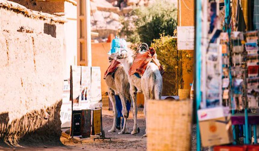 اكتشاف المغرب لمدة 9 أيام: من مراكش إلى الدار البيضاء — 1