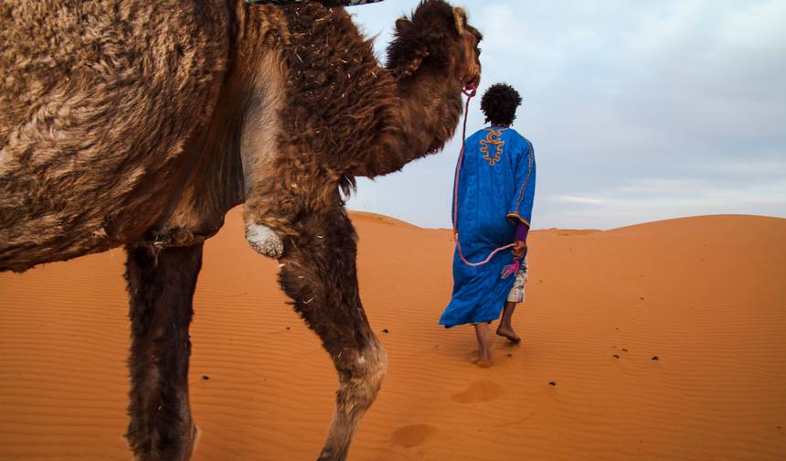 Complete Morocco: The Sahara to the Coast — 1