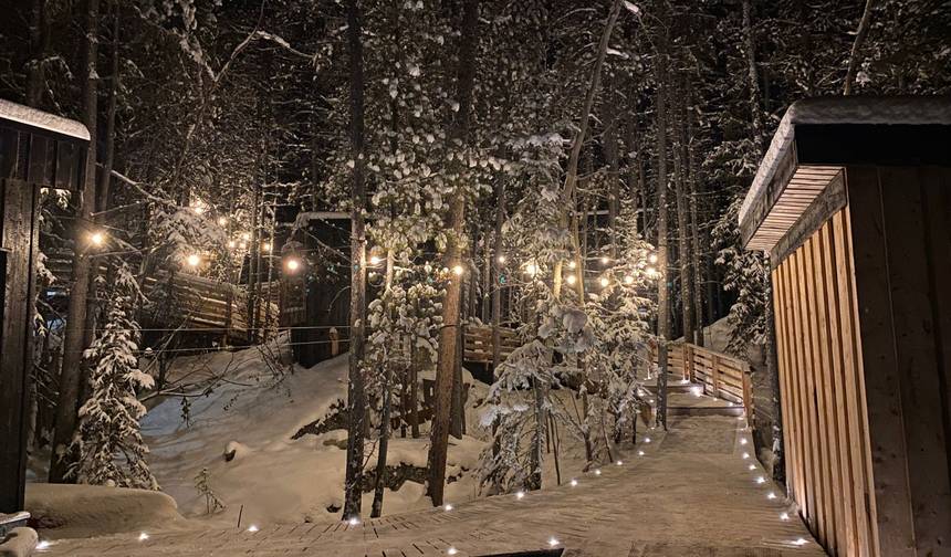 Aurora, Sauna e Fontes Termais: Estadia em Cabana Moderna em Whitehorse a partir de Vancouver — 1