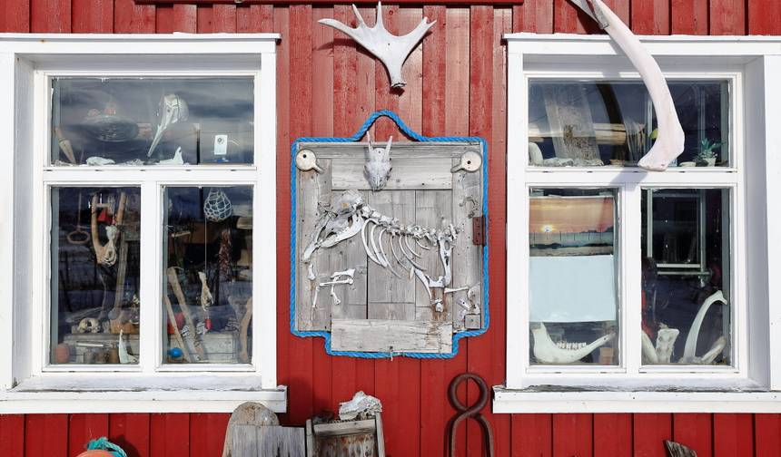 Zimowa przygoda Lofoten: Do zorzy polarnej i domków na palach (z Harstad do Narviku) — 1