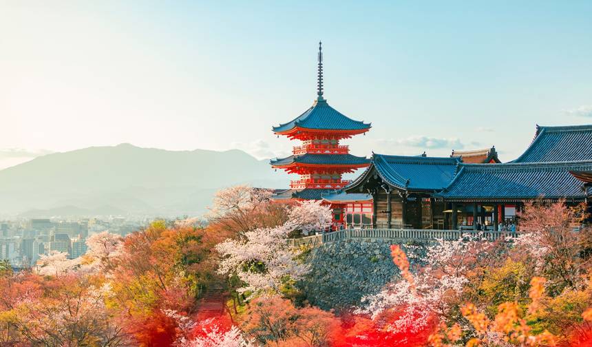 7-dniowa wycieczka typu „Highlights” po Japonii w małej grupie — 1