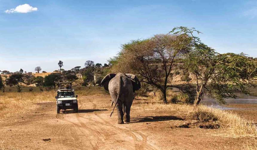 Big Five Geluxe Tanzania Safari — 1