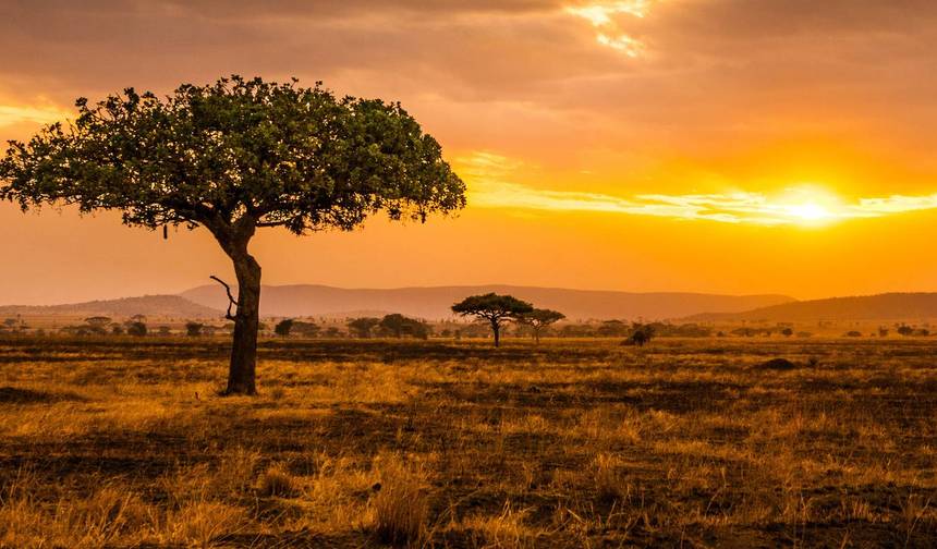 Explore Tanzania’s Central and Southern Gems — 1