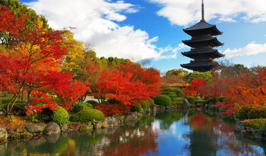 10 Days Japan's Autumn Family tour with Teenager (private guide & driver） — 1