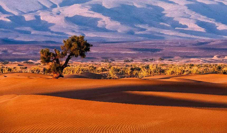Bespoke 8-Day VIP Expedition:Atlas Trekking/Luxury Desert Glamping — 1