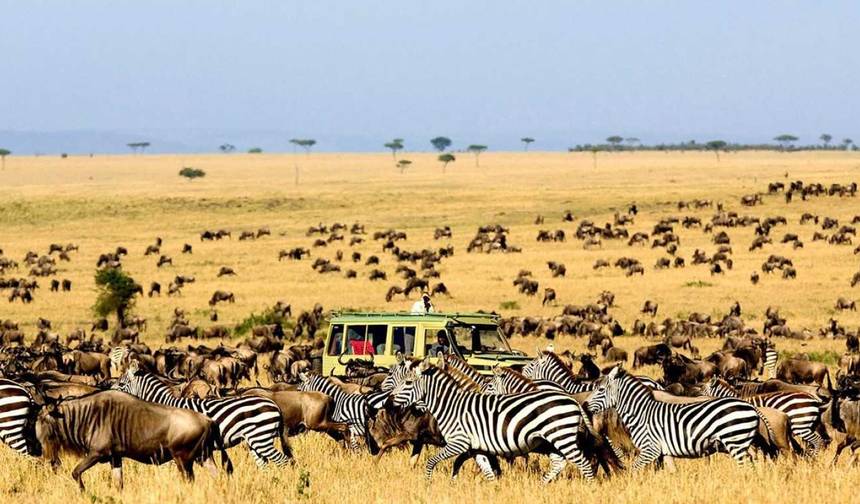Viagem de Luxo Privada de 12 Dias no Quênia e Tanzânia — 1