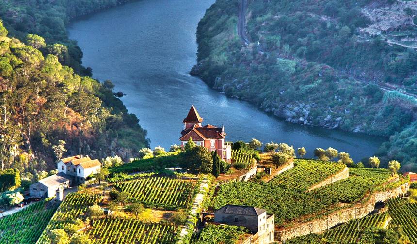 Douro Discovery بورتو إلى بورتو (2026) — 1
