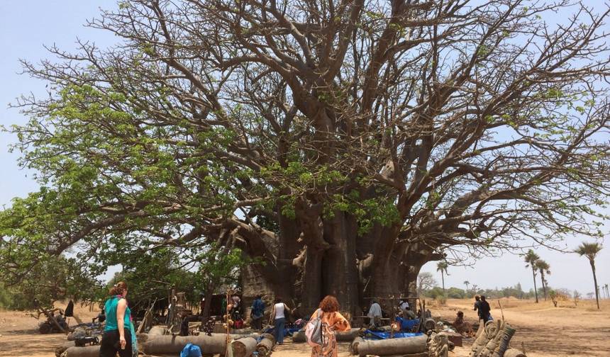 Eko Senegal 8 Dni — 1