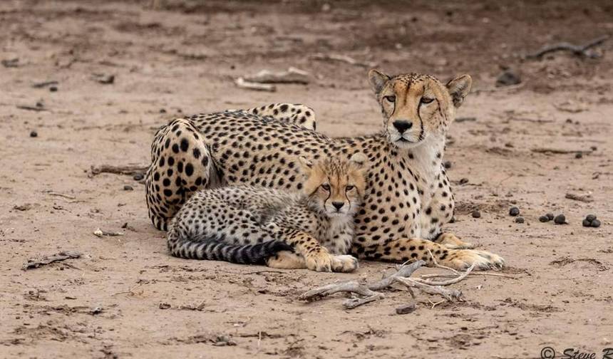 روعة التخييم في Tarangire و Ngorongoro لمدة يومين — 1