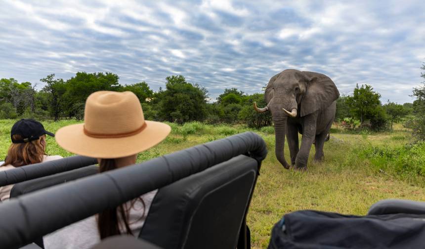 プレミアム南部アフリカ徹底探訪サファリ – 11日間 / 10泊 (SA, Kruger, ヴィクトリアの滝, Chobe River, Okavango Delta) — 1