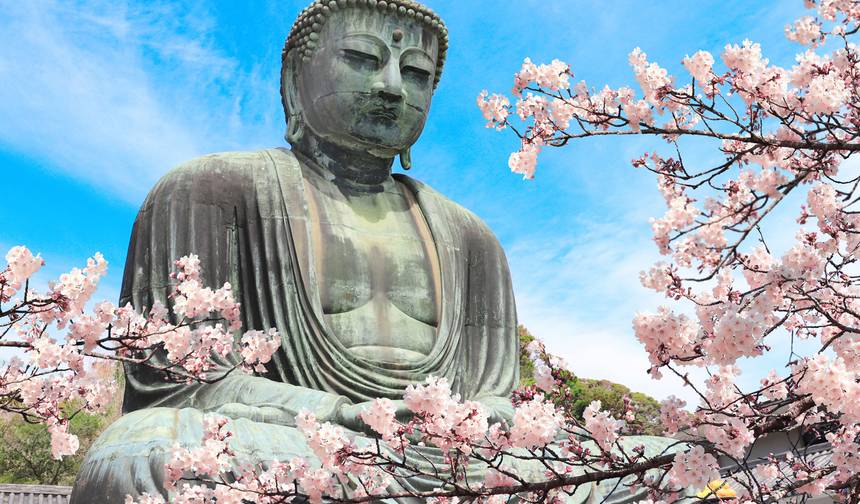 8Days Japan's Kanto In-depth Tour(private guide & driver） — 1