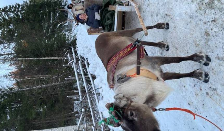 Finlandia w 8 dni — Helsinki i Rovaniemi — 1