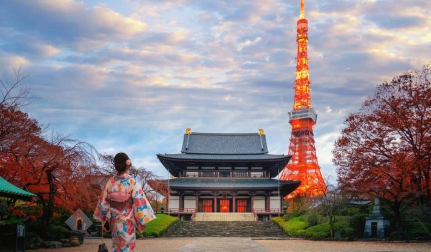 7 Day All Inclusive Japan Classics（Private Guide and Driver）- Umetravel — 1