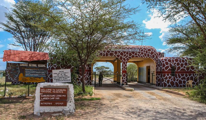 10-dniowe safari średniej klasy w Kenii i Tanzanii 2026 — 1