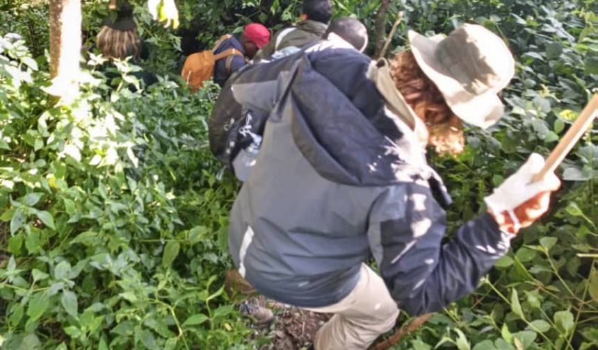 Experience Uganda Gorilla Trekking and Tanzania Migration Safari — 1