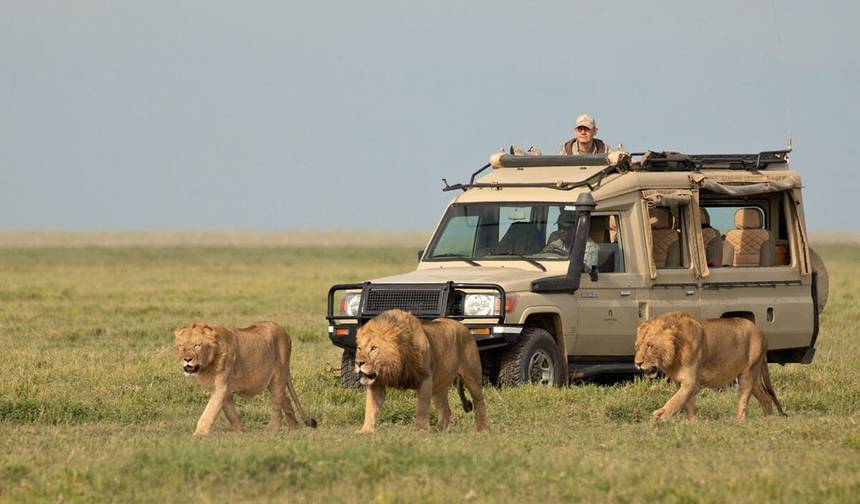 9-Day Serengeti Wildebeest Migration Safari Experience — 1