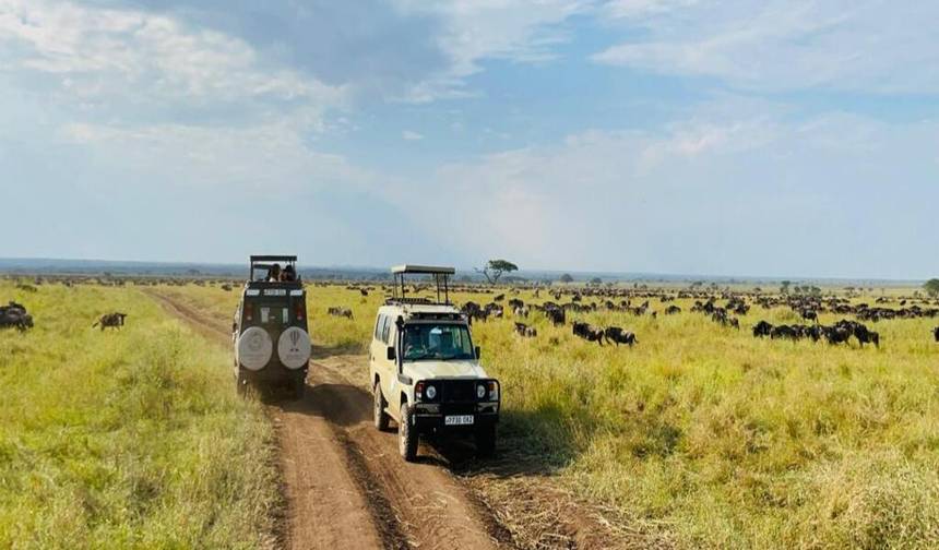 Lodge Safari: Tarangire, Serengeti, Ngorongoro Crater & Lake Manyara — 1