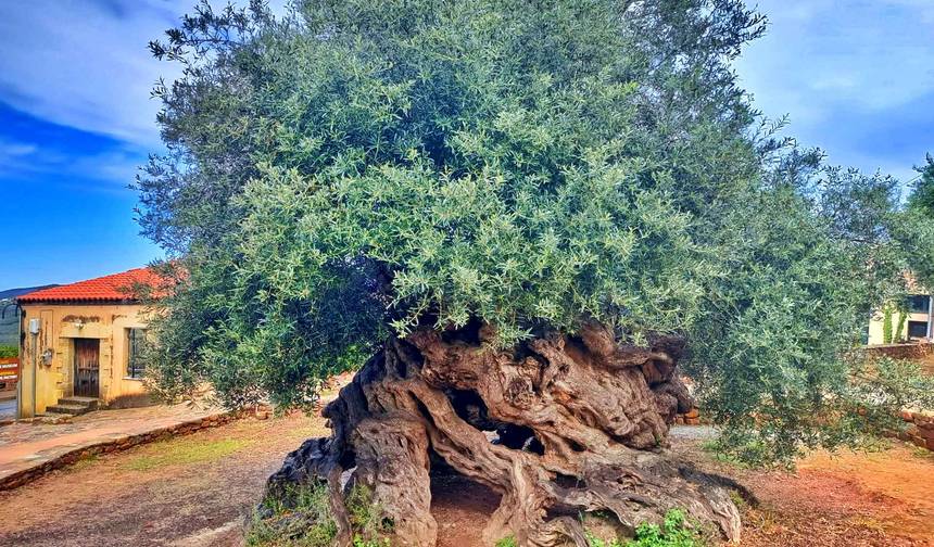 Charming Crete | Semi-Private 8-Day Guided Tour — 1