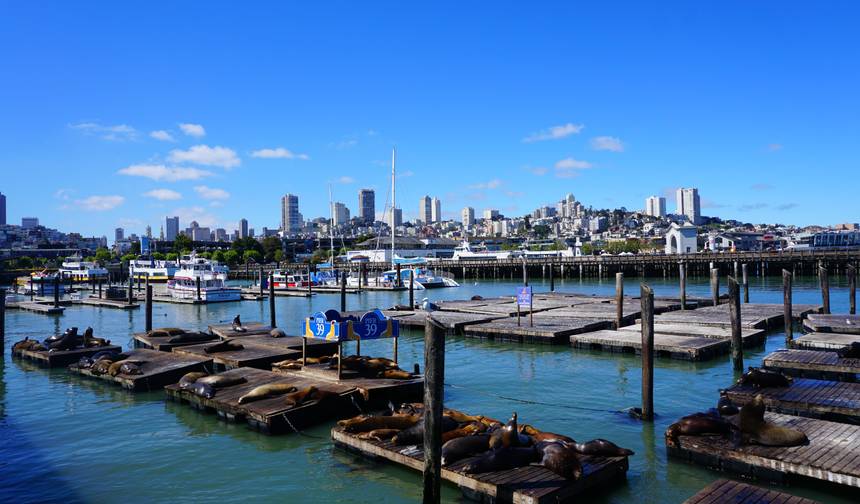 Noroeste do Pacífico e Califórnia, incluindo Washington, Oregon e Califórnia (Seattle, WA a São Francisco, CA) (2026) — 1