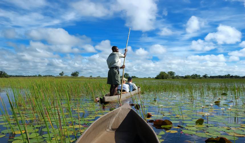 8 dias Chobe & Okavango Delta Express (Acampamento) — 1