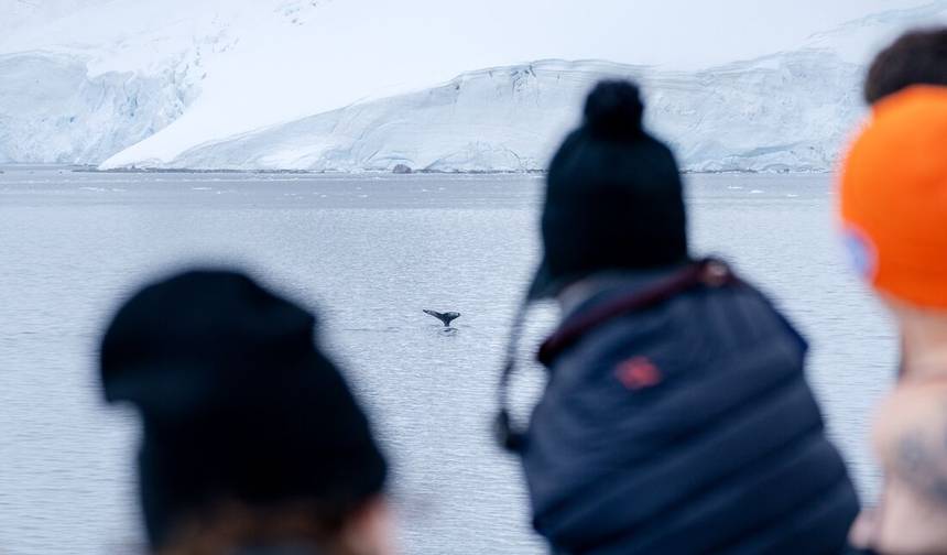 Antarctica's Whale Season (Ocean Albatros) — 1