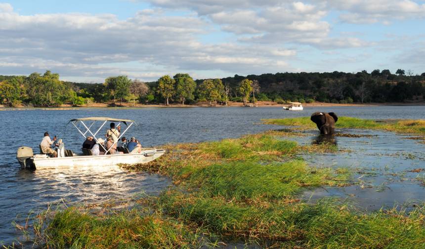 8 dias Chobe & Okavango Delta Express (Acomodado) — 1