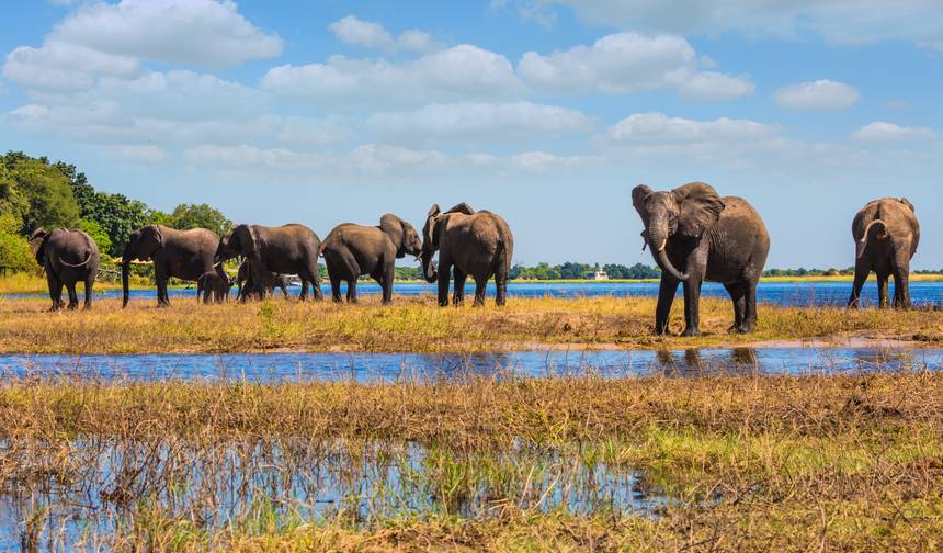 8 dias Delta do Okavango & Chobe Express (Acomodado) — 1