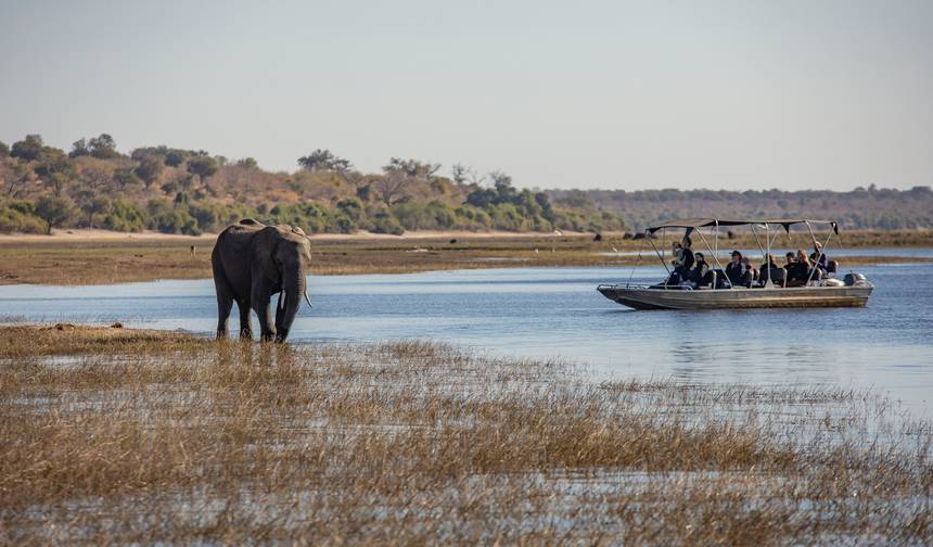 Kompletna Botswana: Parki Narodowe i Dzika Przyroda Delty — 1