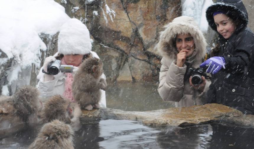 13 Day Wonders of Central Japan Snow Monkey Park （Private Guide and Driver） — 1