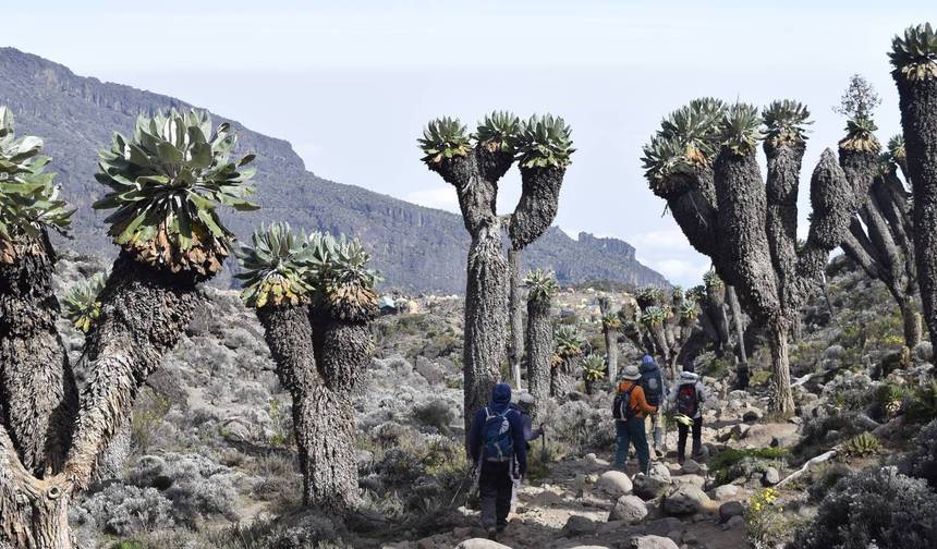 7-Day Machame Route — 1