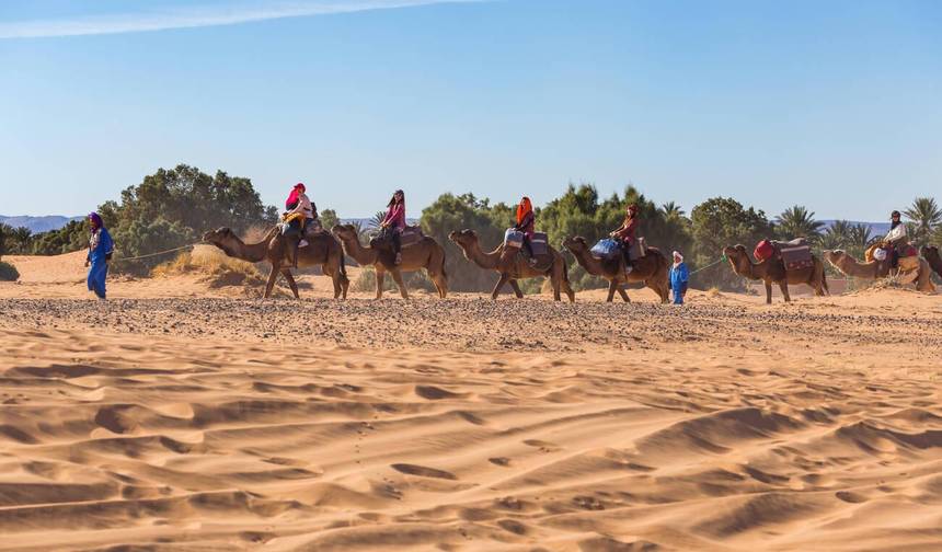 رحلة مشي بالجمال لمدة 6 أيام من مراكش إلى M'hamid وErg Zaher Desert — 1