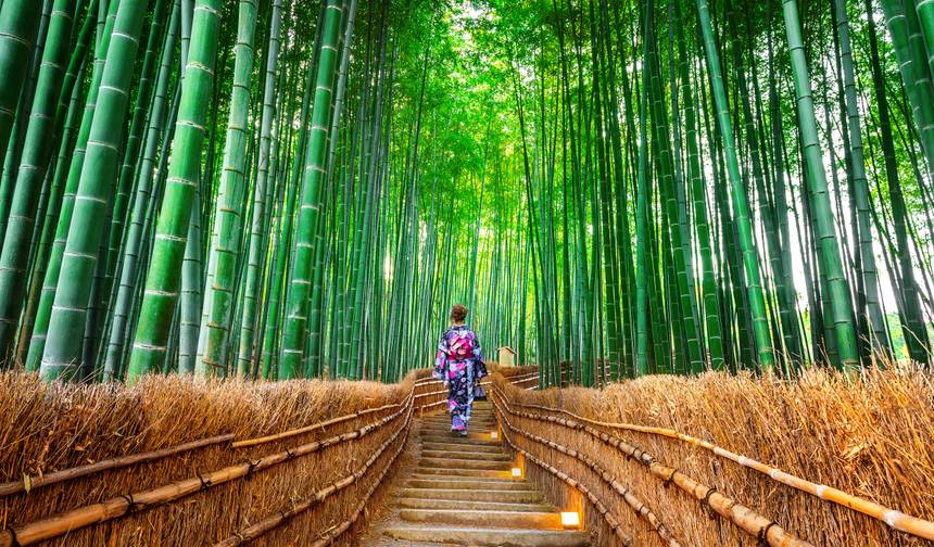 日本を知る旅 — 1