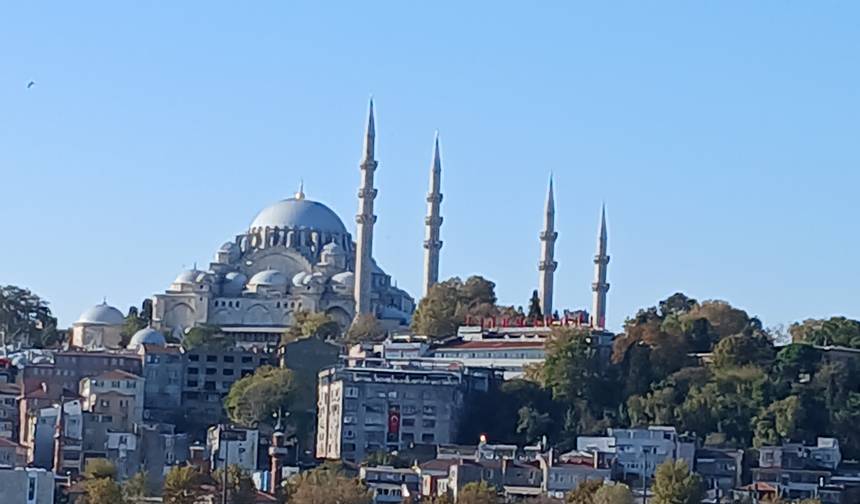 Magic Turkey — 1