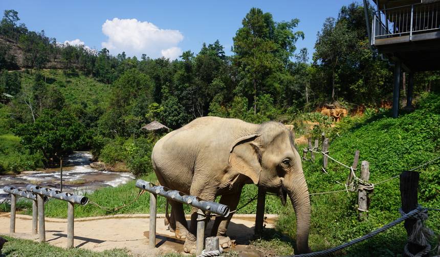 11-Day Thailand Family Tour — 1