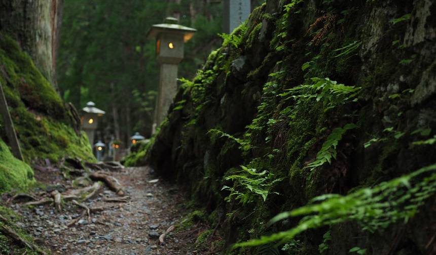اليابان: Koya-san و Kumano Kodo Trek — 1