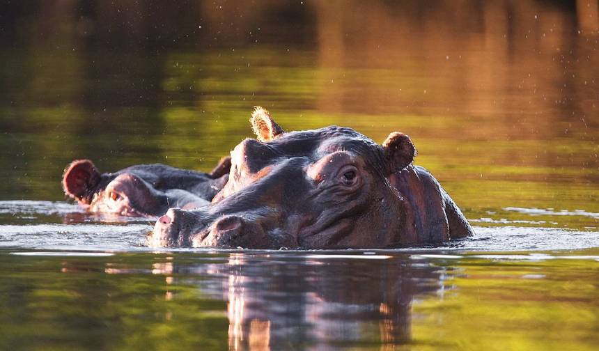 Luxury Northern Zambia Waterfalls & Wilderness Journey13-Day — 1