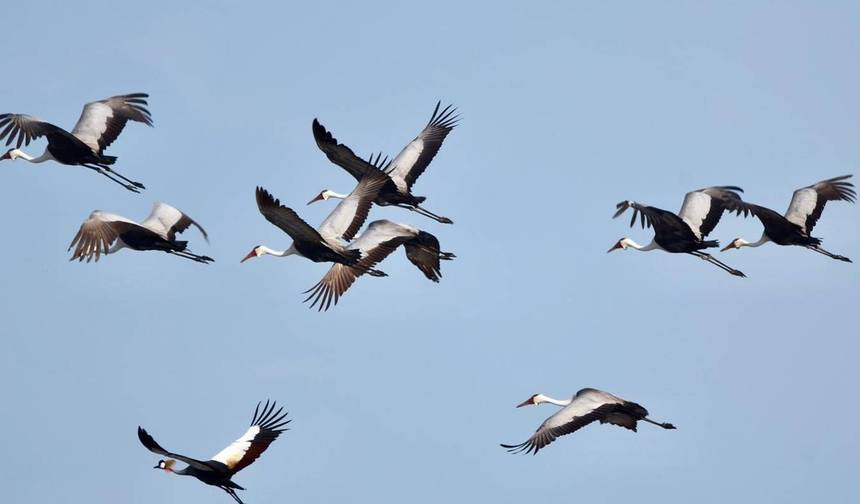 Kafue National Park Safari 3 Days/2 Nights — 1