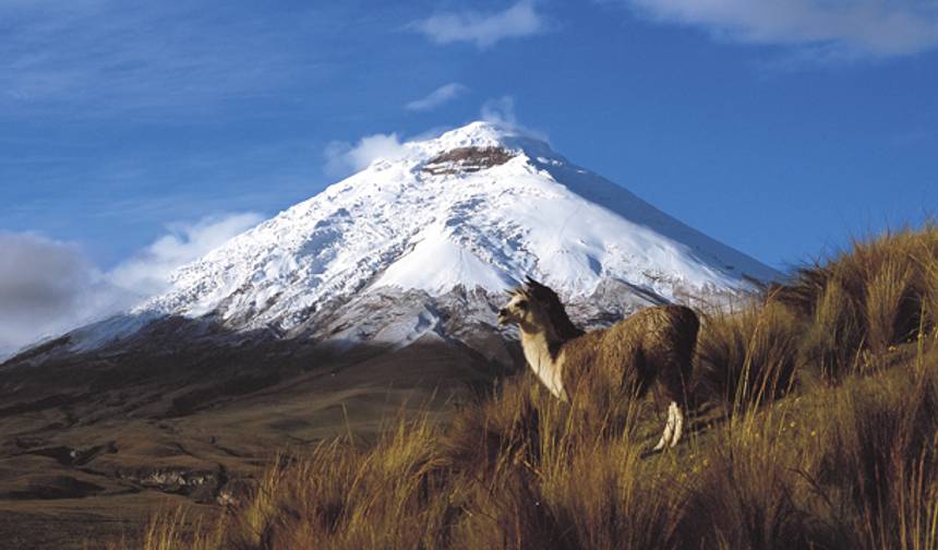 مستكشف الإكوادور وجزر غالاباغوس - 13 يومًا — 1
