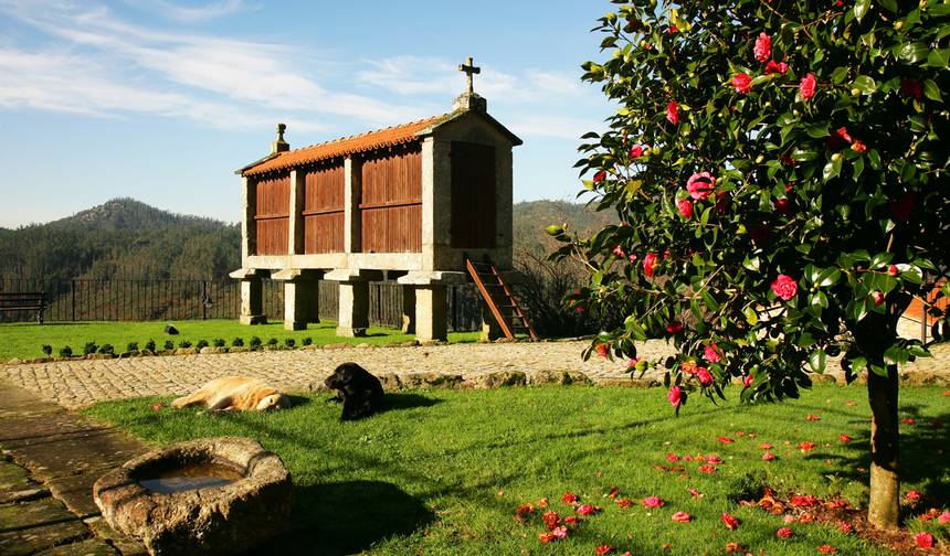 Caminho de Santiago · Caminho Francês · De Sarria a Santiago de Compostela — 1
