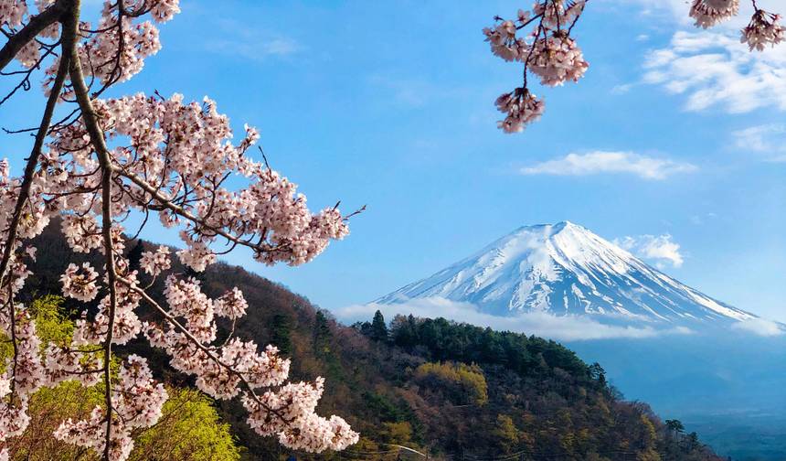 Tour de 5 Dias no Japão: Tóquio e Monte Fuji — 1
